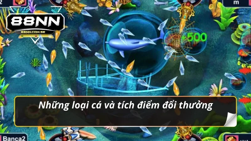 Bắn cá H5 đổi điểm thưởng siêu khủng 